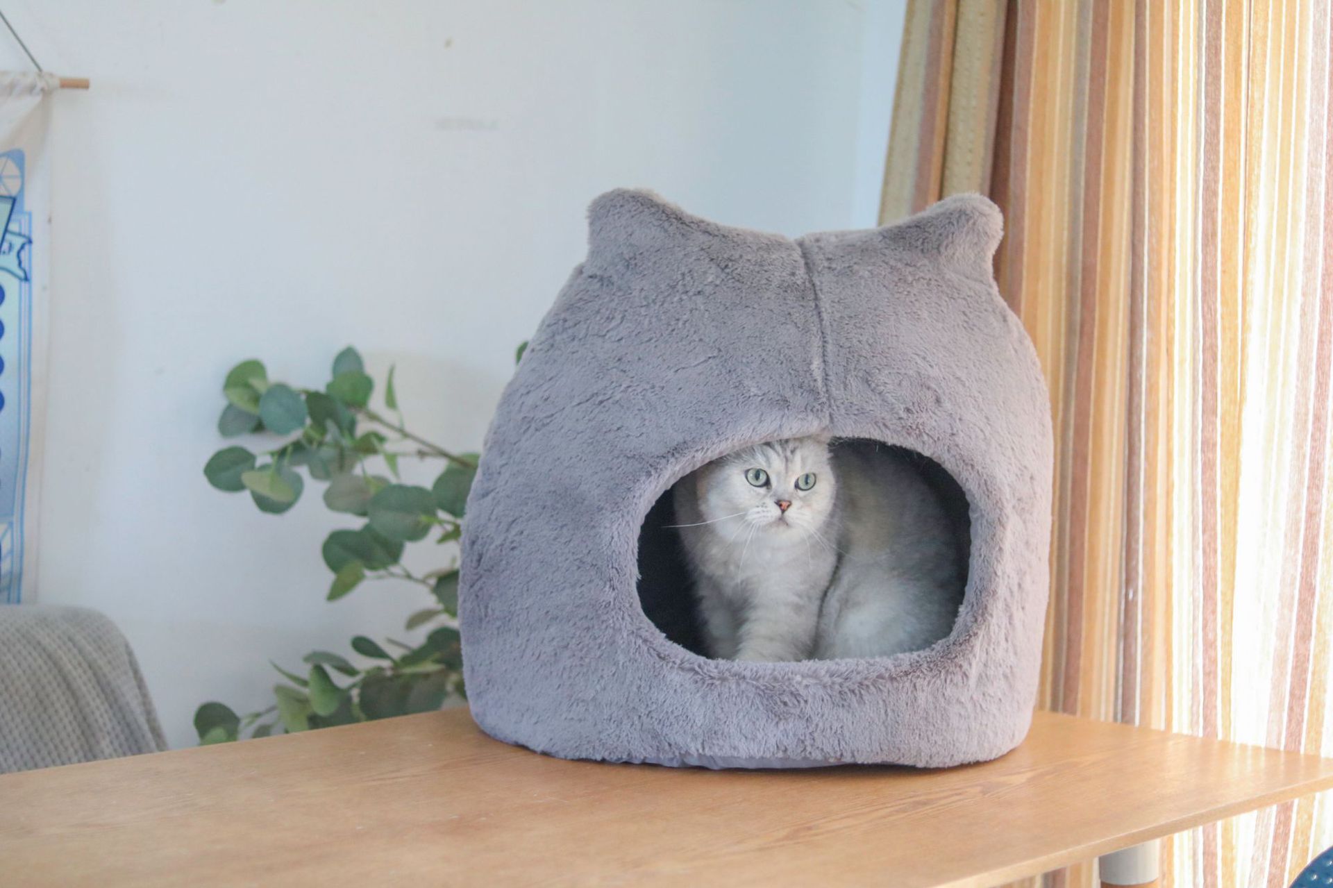 Cat Nest Autumn And Winter Warm Kittens Removable And Washable Cat Bed